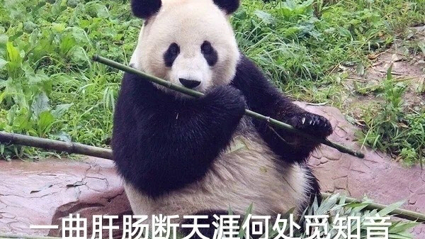 多年不练拿起来试试